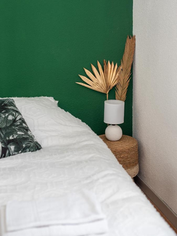 Bel Appartement Renove Grenoble Luaran gambar
